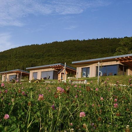 An Webers Stoag Villa Geisingen Exterior foto